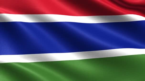 Realistische Vlag Van Gambia Naadloze Looping Met Zeer Gedetailleerde Weefsel — Stockvideo