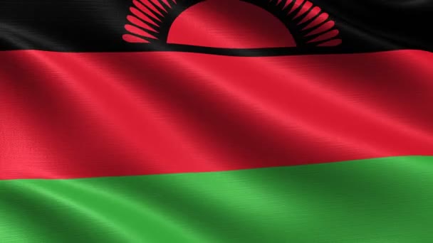 Bandeira Realista Malawi Looping Sem Costura Com Textura Tecido Altamente — Vídeo de Stock