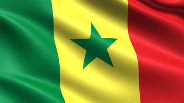 Bandeira Realista Senegal Looping Sem Costura Com Textura Tecido Altamente — Vídeo de Stock