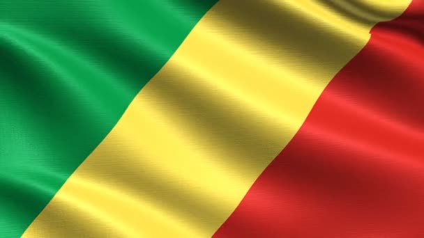 Kongo Cumhuriyeti Gerçekçi Bayrağı Son Derece Ayrıntılı Kumaş Dokusu Ile — Stok video