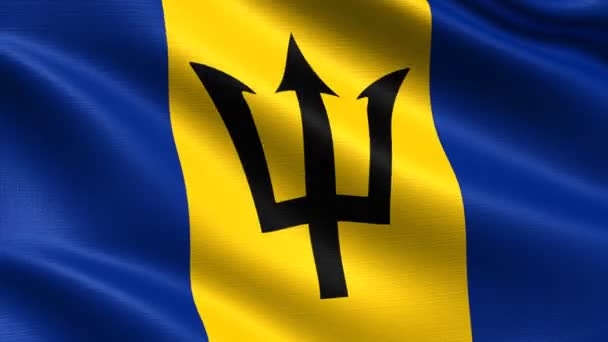 Realistyczna Flaga Barbadosu Bezproblemowe Pętlowanie Bardzo Szczegółową Teksturą Tkaniny Rozdzielczość — Wideo stockowe