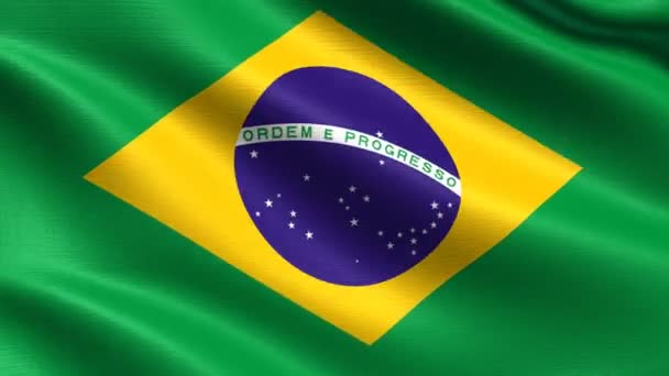 Bandeira Realista Brasil Looping Sem Costura Com Textura Tecido Altamente — Vídeo de Stock