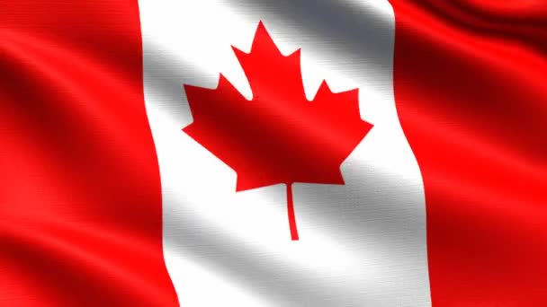 Realistische Flagge Kanadas Nahtloser Looping Mit Hochdetaillierter Textur Auflösung — Stockvideo