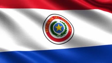 Paraguay Gerçekçi bayrak, son derece ayrıntılı kumaş dokusu, 4k çözünürlük ile Dikişsiz döngü