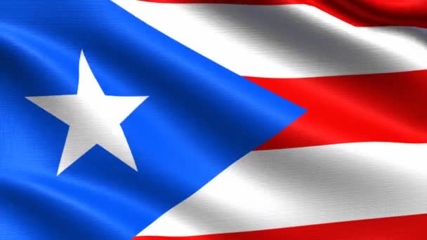 Realistisk Flagga Puerto Rico Sömlös Looping Med Mycket Detaljerad Tyg — Stockvideo