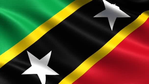 Realistyczna Flaga Saint Kitts Nevis Płynne Pętanie Bardzo Szczegółową Teksturą — Wideo stockowe