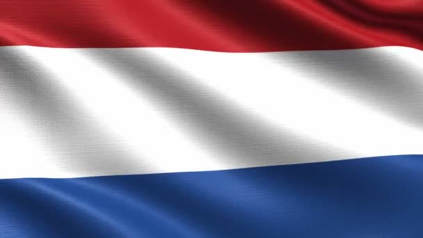 Bandeira Realista Holanda Looping Sem Costura Com Textura Tecido Altamente — Vídeo de Stock