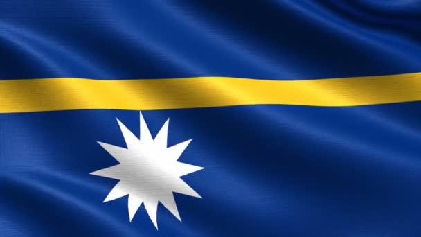 Realistická Vlajka Nauru Bezešvé Opakování Vysoce Podrobnou Strukturou Tkaniny Rozlišení — Stock video