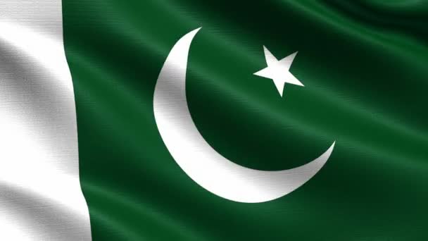 Realistic Flag Pakistan Seamless Looping Highly Detailed Fabric Texture Resolution — Stock Video