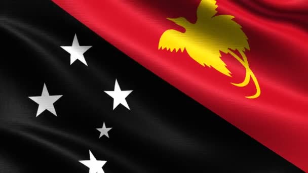 Bandera Realista Papua New Guinea Lazo Sin Costuras Con Textura — Vídeo de stock