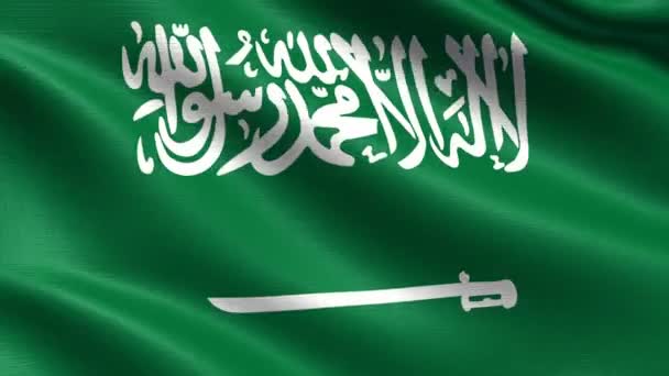 Ρεαλιστική Σημαία Της Σαουδικής Αραβίας Απρόσκοπτη Βρόχο Πολύ Λεπτομερή Υφή — Αρχείο Βίντεο