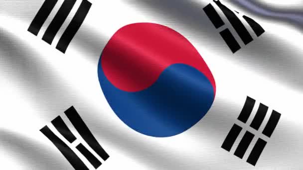 Drapeau réaliste de la Corée du Sud, boucle sans couture avec texture de tissu très détaillée, résolution 4k 