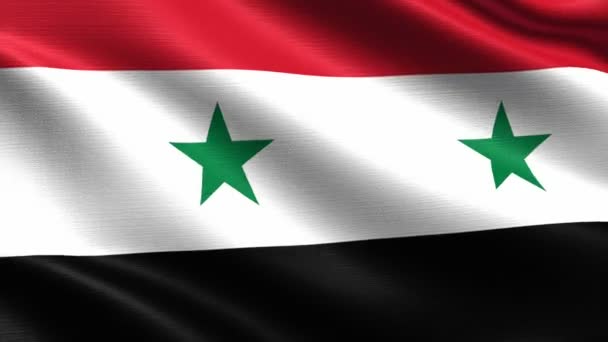 Realistisk Flag Syrien Problemfri Looping Med Meget Detaljeret Stof Tekstur – Stock-video
