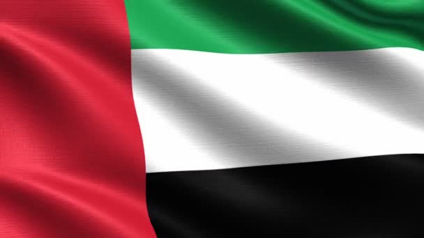 Realistic Flag United Arab Emirates Seamless Looping Highly Detailed Fabric — Stock Video