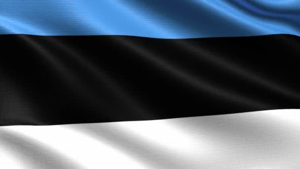Ρεαλιστική Σημαία Της Εσθονίας Απρόσκοπτη Βρόχο Πολύ Λεπτομερή Υφή Υφάσματος — Αρχείο Βίντεο