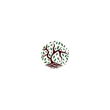 mangrov logo tasarım vektör şablonu