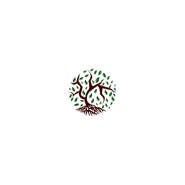 Modèle Vectoriel Conception Logo Mangrove — Image vectorielle
