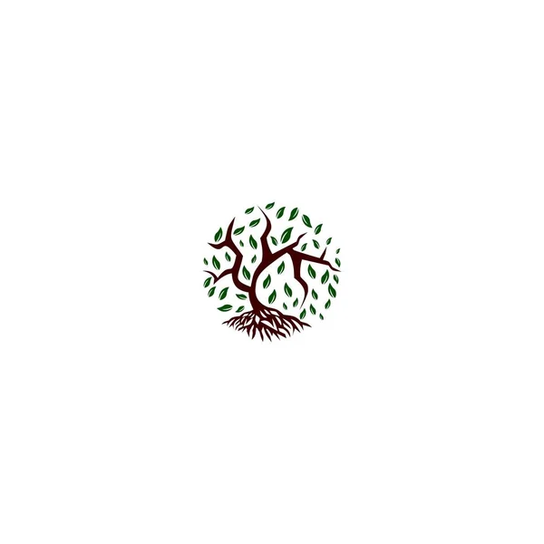 mangrov logo tasarım vektör şablonu