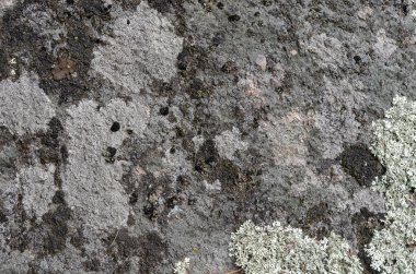 Dikişsiz eski kaya dokusu arka plan çekim