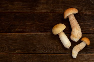Ahşap tahtaların arka planında üç boletus mantarı