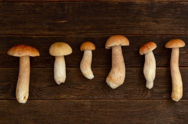 ahşap panoları bir arka plan üzerinde boletus mantar