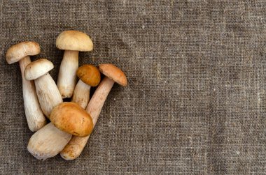 Boletus edulis çuval bezi arka plan üzerinde. Sağlıklı beslenme vejetaryen gıda. Kopyalama alanı.