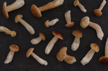 siyah bir arka plan üzerinde mantar boletus sonbahar arka plan - üst görünümü