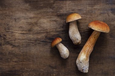 üç beyaz mantar boletus. koyu ahşap arka plan çiğ gıda