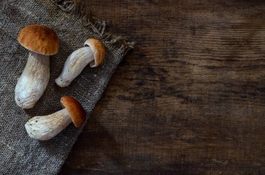 üç beyaz mantar boletus. koyu ahşap arka plan çiğ gıda