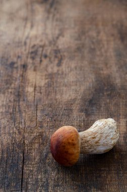 izole beyaz mantar boletus. koyu ahşap arka plan çiğ gıda