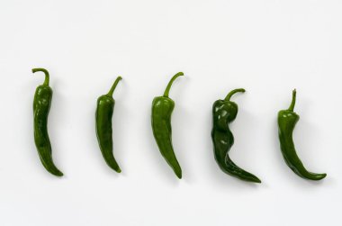 yeşil sıcak beyaz arka plan üzerinde izole biber. Üstten görünüm. Düz yatıyordu desen.