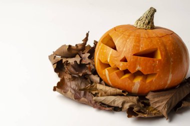 Cadılar bayramı için balkabağından sonbahar yapraklarıyla oyulmuş bir fenerin başı.