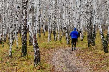 İnsan bir sonbahar günü ormanda koşuyor.
