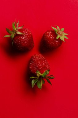 Kırmızı arka planda kırmızı çilekler. Duvar Kağıdı.