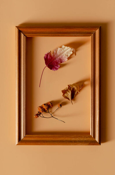 Autumn Arrives. Fall Background. Minimal. Vintage fashionable autumnal concept. Autumn leaves