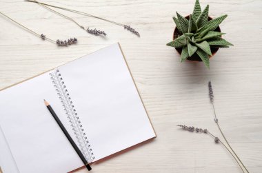 Minnettarlık günlüğü beyaz ahşap arka planda boşluk