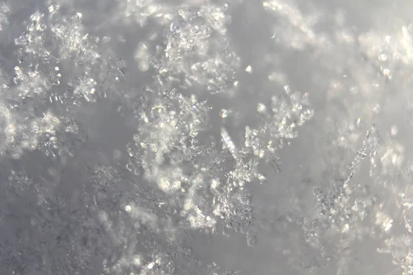 Närbild av snöflingor i vit snö. Makro av riktiga snöflingor. Vinter bakgrund. — Stockfoto