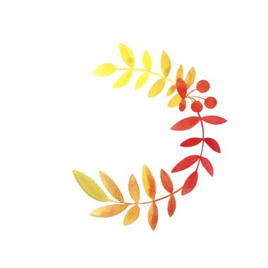 El çizilmiş suluboya çerçeve turuncu sarı kırmızı yaprakları ve beyaz arka plan üzerinde kopya alanı ile dal rowan. Tebrik kartları, düğün davetiyeleri, baskı için İllüstrasyon