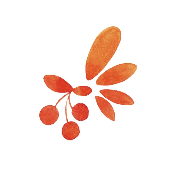 Acuarela Dibujada Mano Bayas Naranjas Con Hojas Sobre Fondo Blanco — Foto de Stock