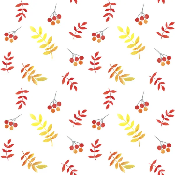 El çizilmiş suluboya kırmızı, sarı, turuncu yaprakları ve beyaz arka plan üzerinde şube rowan desen dikişsiz. Kumaş, duvar kağıdı, sarma üzerine baskı için mükemmel