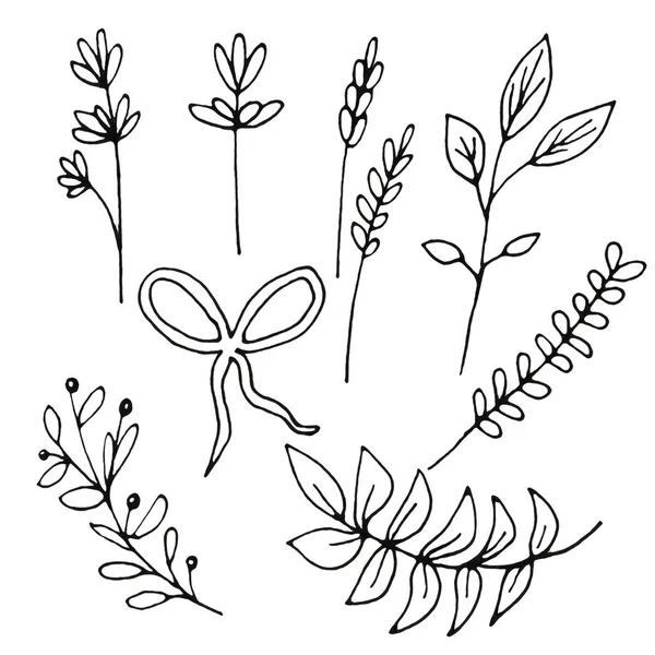 Ręcznie Rysowane Atrament Botaniczny Zbiór Dzikich Ogrodowych Roślin Odizolowanych Białym — Zdjęcie stockowe