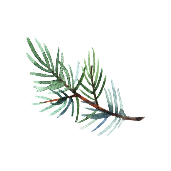Hand Drawn Watercolor Illustration Pine Branch Isolated White Background Holiday — Stock Photo, Image