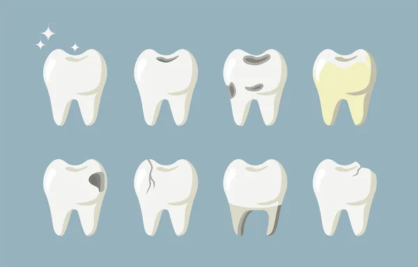 Yeşil Arka Planda Izole Edilmiş Çeşitli Azı Dişleri Var Vektör — Stok Vektör