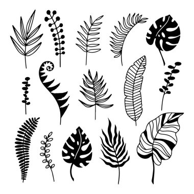 El çizimi tropikal bitki yaprakları beyaz arka planda izole. Ana hatlı siluet vektör çizimi. Desen, logo, şablon, afiş, poster, davetiye, tebrik kartı için tasarım 