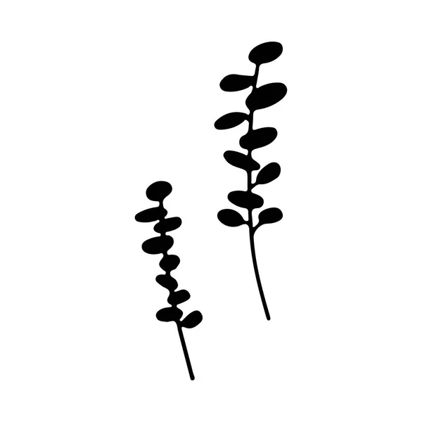 Handritade Grenar Uppsättning Tropiska Växter Eukalyptus Isolerad Vit Bakgrund Silhuett — Stock vektor