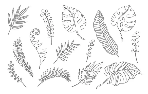 Hand Drawn Branches Set Tropical Plants Leaves Isolated White Background — Stock Vector