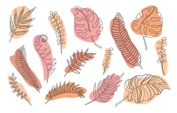 Ramas Dibujadas Mano Conjunto Hojas Plantas Tropicales Con Forma Color — Vector de stock