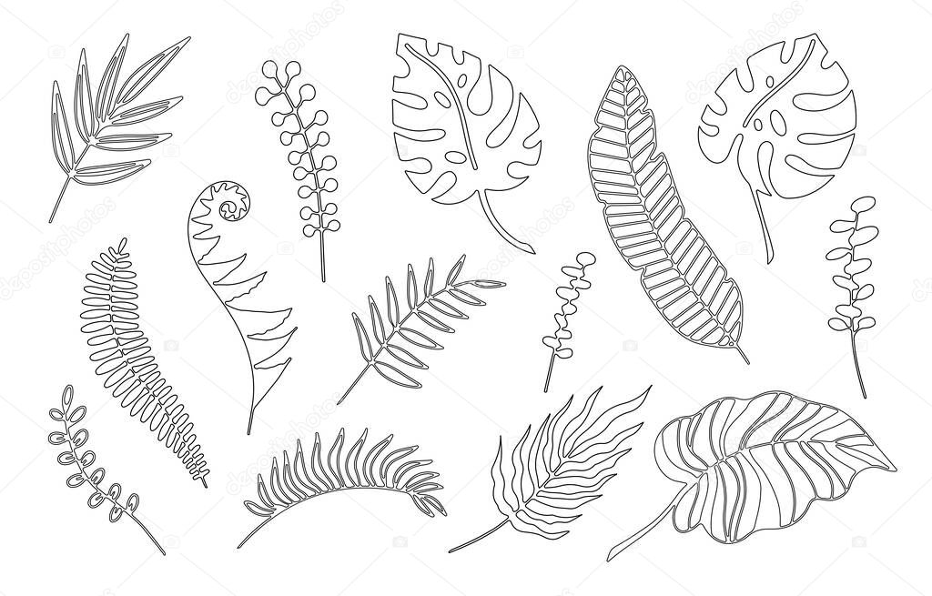 Hand drawn branches set of tropical plants leaves isolated on white background. Outline doodle vector illustration. Design for pattern, logo, template, banner, posters, invitation, greeting card