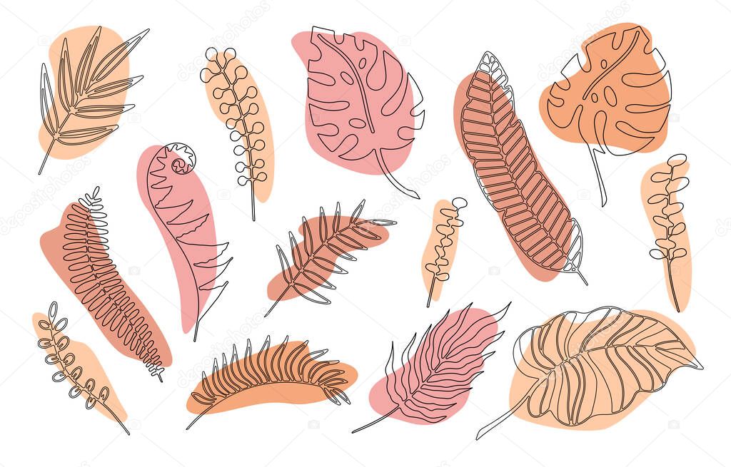Hand drawn branches set of tropical plants leaves with color  shape isolated on white background. Outline doodle vector illustration. Design for pattern, logo, posters, invitation, greeting card 