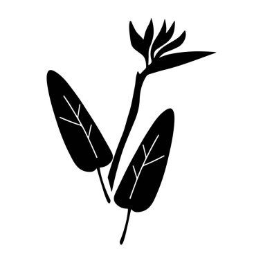 Beyaz arka planda izole edilmiş yaprakları olan el çizimi, Strelitzia çiçeğinin siyah silueti. Vektör düz çizim. Kart, düğün, şablon, davet için tasarım